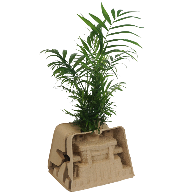 1 x 17cm Plant Clampack (Priced Per Pallet)