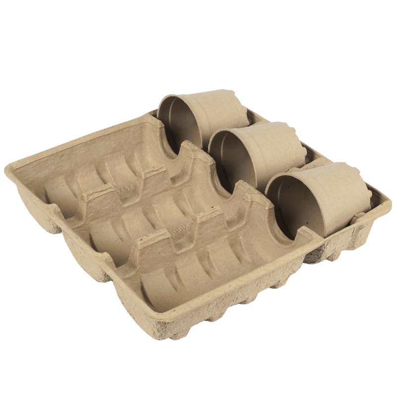 In-Box Tray 3 x 10.5-12-13cm (Priced Per Pallet)