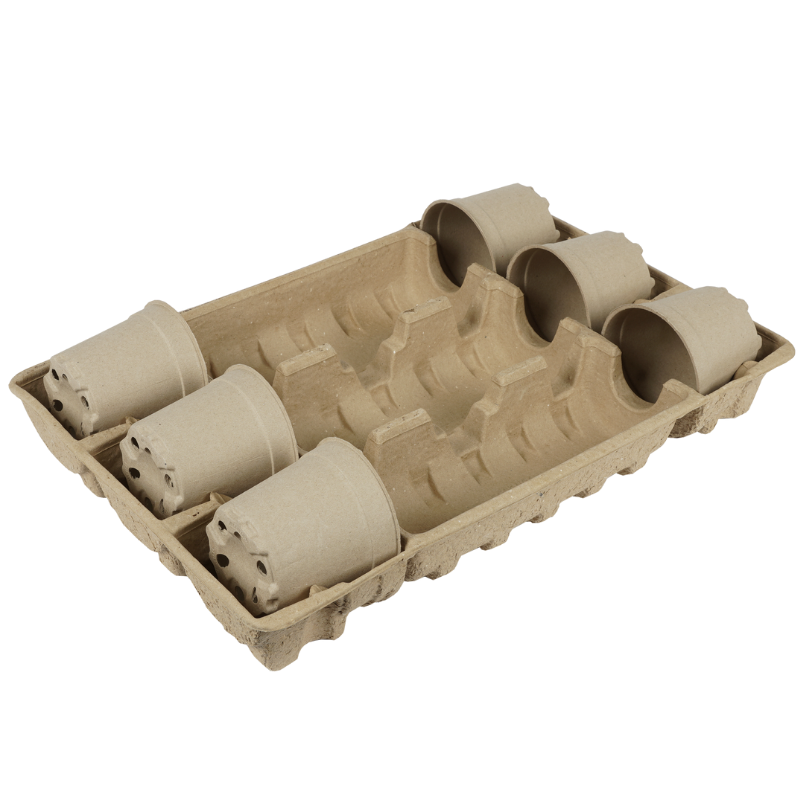 In-Box Tray 6 x 10.5-12-13cm (Priced Per Pallet)