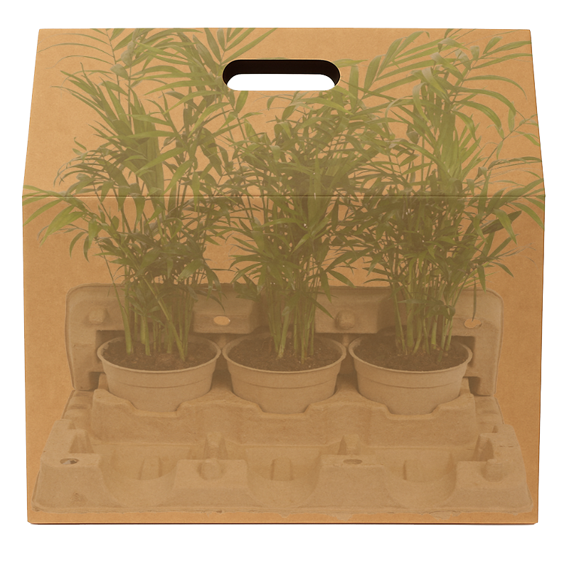 6 x 10.5cm Plants Outer Box (Priced Per Pallet)