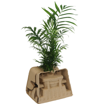 1 x 17cm Plant Clampack (Priced Per Pallet)