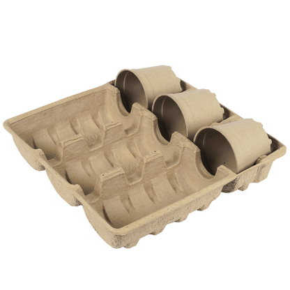 In-Box Tray 3 x 10.5-12-13cm (Priced Per Pallet)