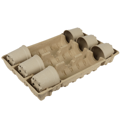 In-Box Tray 6 x 10.5-12-13cm (Priced Per Pallet)